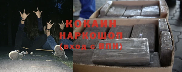 индика Богданович