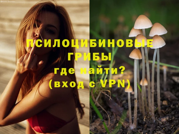 мдма Бронницы